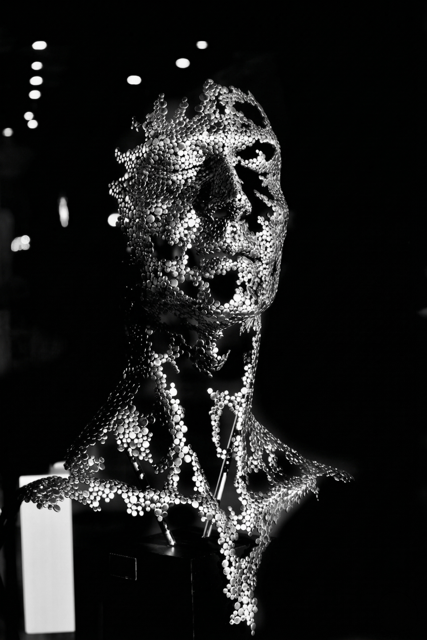 PABLO ROCHA